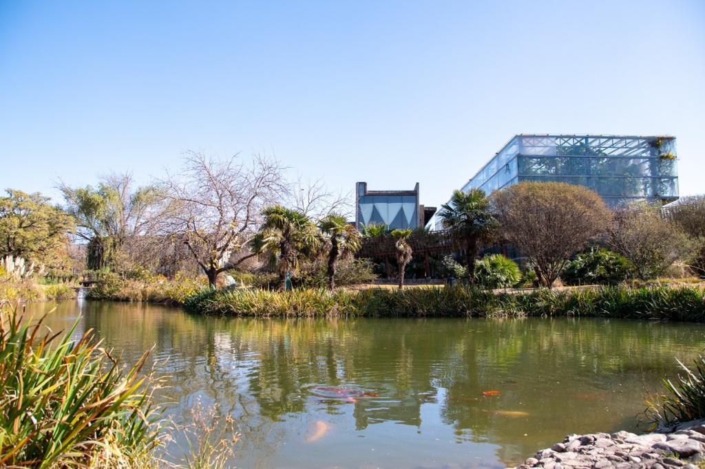 multimedia.normal.a25e79cb98158159.576861747341707020496d61676520323032312d30312d30342061742031322e5f6e6f726d616c2e6a706567