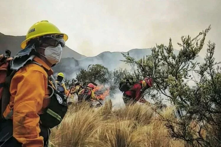 Combaten-un-incendio-en-Punilla-y-hay-riesgo-de-interfaz-750x500-optimized