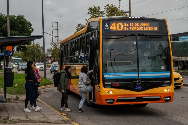 Colectivos40b